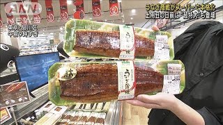 土用丑の日前に　うなぎ商戦がスーパーで本格化“超特大”も登場(2023年7月26日)