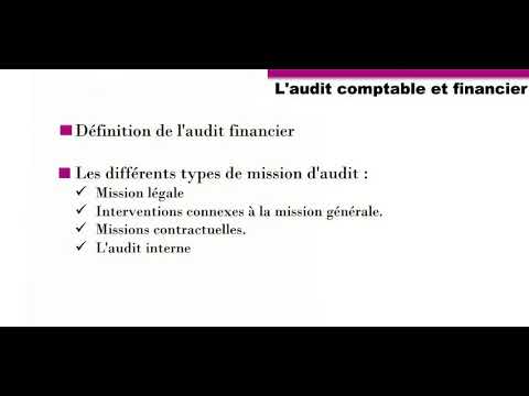 Vidéo: Qui effectue l'audit d'efficacité et de propriété ?