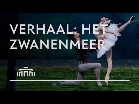 Video: Waar is het witte zwanenmeer?