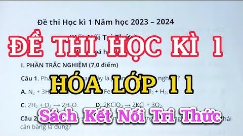 Đề thi học kì môn hóa lớp 11 năm 2024