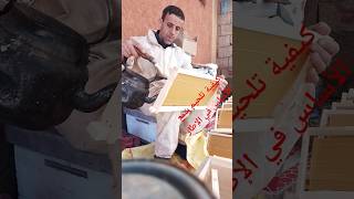 كيفية تلحيم شمع الأساس في الإطار How to weld foundation wax to the frame #honeybeesting #america
