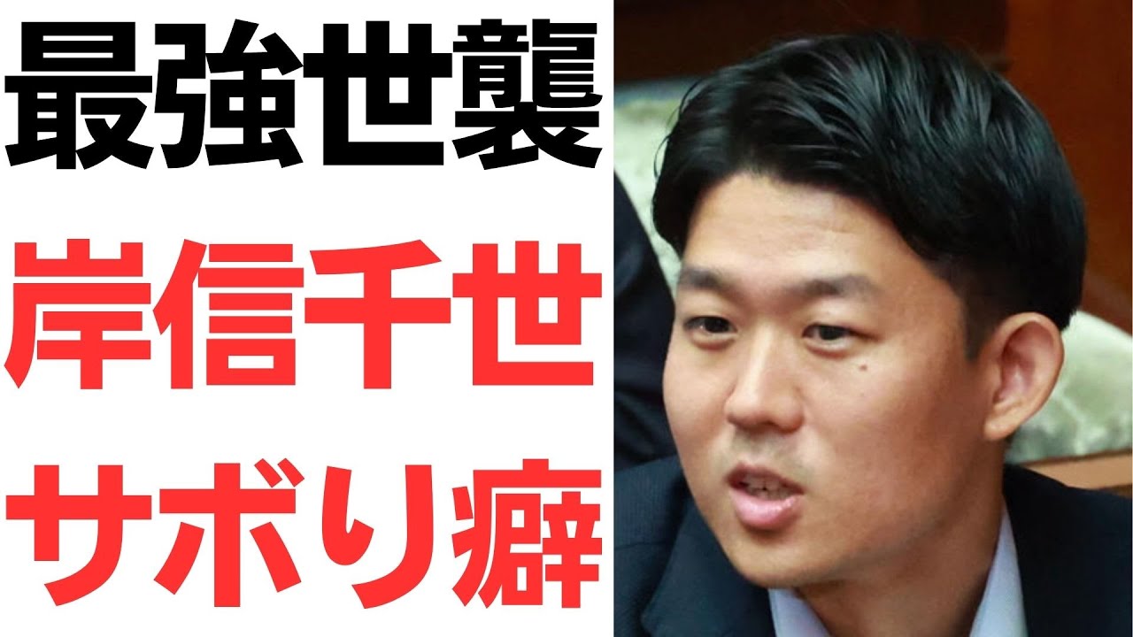 岸信千世氏の衆院選と世襲候補をめぐる報道｜動画内容を整理のサムネイル