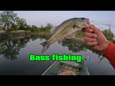 Bass fishing #bassfishing #fishing