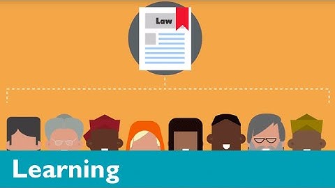 How laws are made (primary)