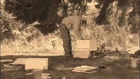 My first adventure in beekeeping- Installing my first package of bees!