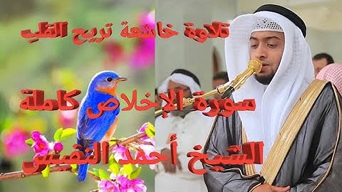 تلاوة خاشعة ومؤثرة تريح القلب سورة الإخلاص كاملة بصوت الشيخ أحمد النفيس #القرآن_الكريم