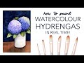 Painting watercolour hydrangeas