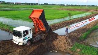 Opening New Project Filling Land Use Trucks 5T & Bulldozer Pushing Stone Into Water