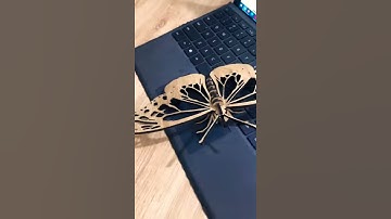 Mô hình lắp ráp cắt laser mẫu bươm bướm