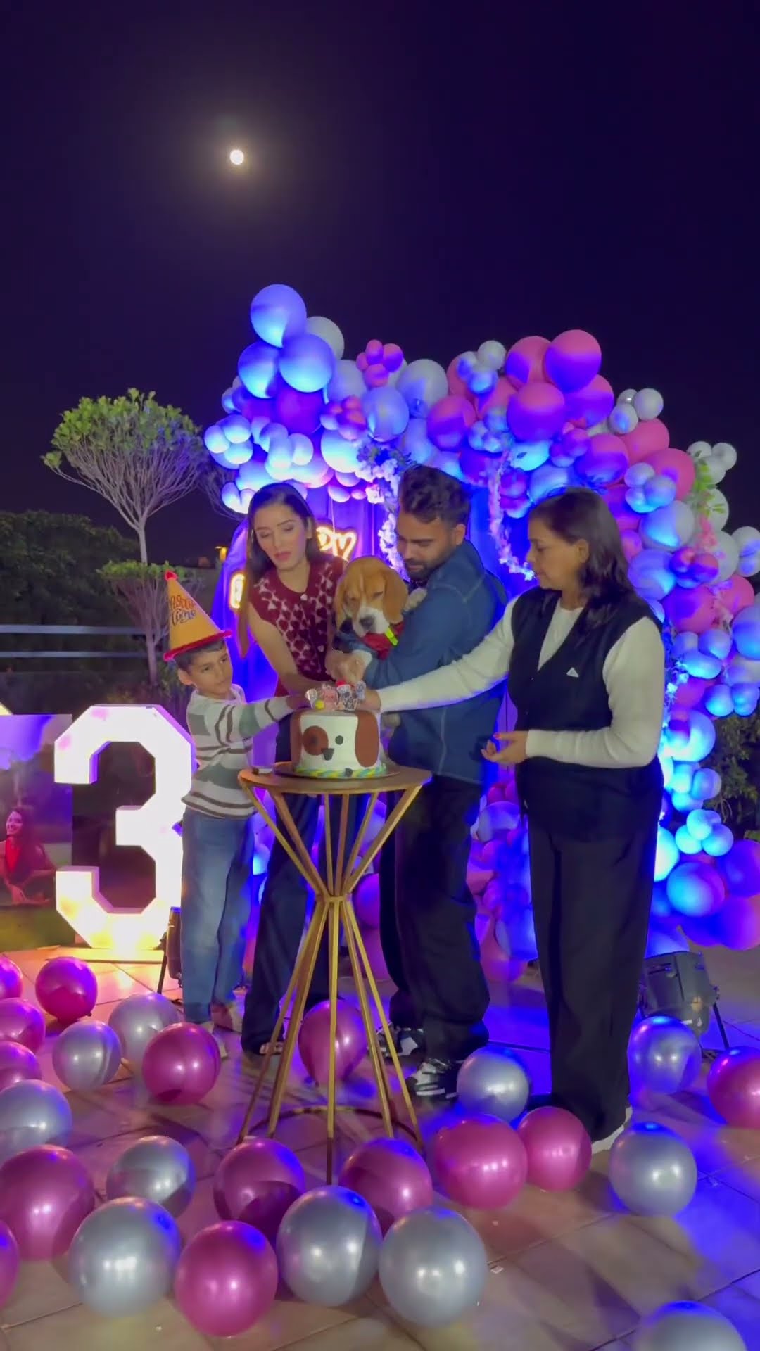 Neetu ke bete ka birthday ? ? #neetubisht #lakhneet #comedy #minivlog