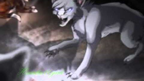 Oh, what a tangled web we weave-