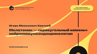 картинка: Мелатонин – «краеугольный камень» нейроиммуноэндокринологии