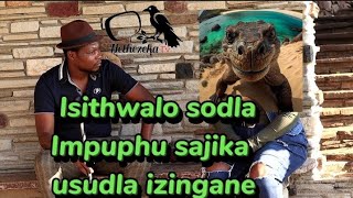 UPHILAKANJANI usisi walanda into yomcebo yamjiikela Ep26