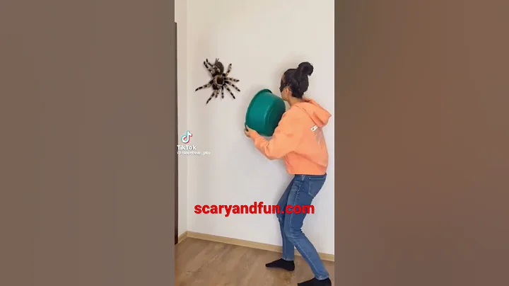 Spider Jumpscare 3 wow