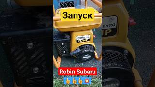 Двигатель Robin Subaru Запуск. 👍👍👍💥💯% #Двигатель #Ремонт #Subaru #Robin #Honda #Stihl