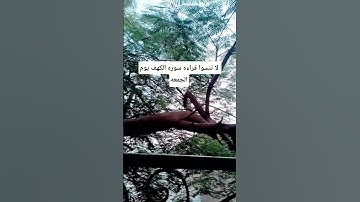 لا تنسوا قراءه سوره الكهف يوم الجمعه