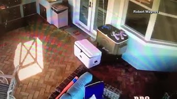 Igloo recalls certain coolers after family says boy became trapped inside