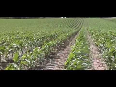 ნიადაგის თესვის თანამედროვე მეთოდები