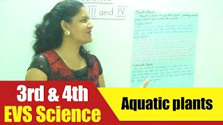 3rd & 4th Std EVS Science | Aquatic plants | CBSE Science Syllabus