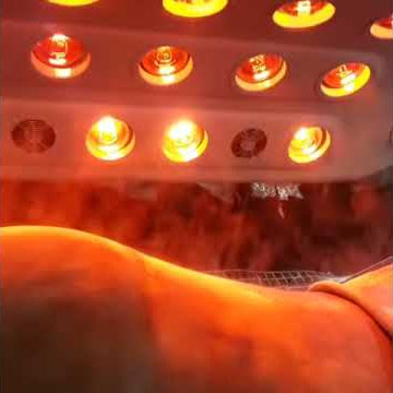 MeRCuRR horse solarium is great for drying your horse.