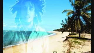 Bob Marley  Three Little Birds With Lyrics!