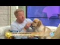 Hundcoachen: DET är inte bra ledarskap - Nyhetsmorgon (TV4)