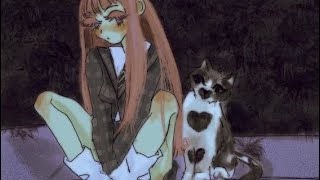 Mr Brightside By The Killers 