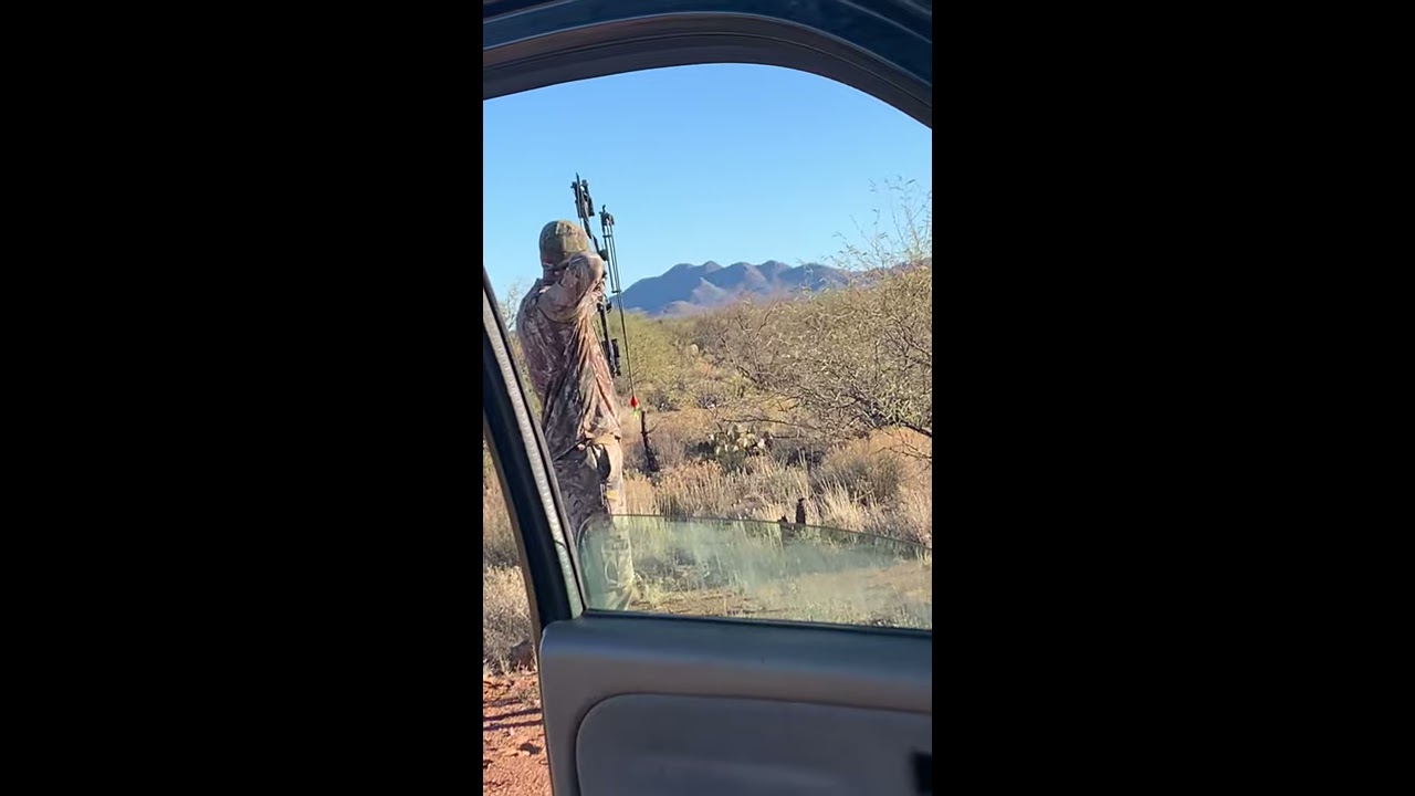 Archery AZ Big Buck