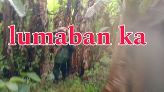 ano bang kapang yarihan Meron si luz#viral #intense #kritikal