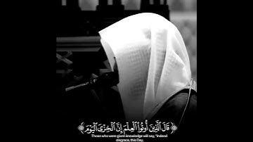 تلاوة هادئة ♥الشيخ ناصر القطامي حالات واتس اب دينيه