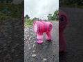 Video Image