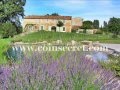 Ref:sfsSFGC0160 Cereste, au c ur du parc du lub�ron, location d'une bastide de charme en pierres avec piscine