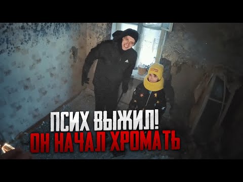 ПСИХ ВЫЖИЛ! ОН НАЧАЛ ХРОМАТЬ // ЧТО ОН ХОЧЕТ ОБСУДИТЬ С МАКСОМ ВАЩЕНКО!?