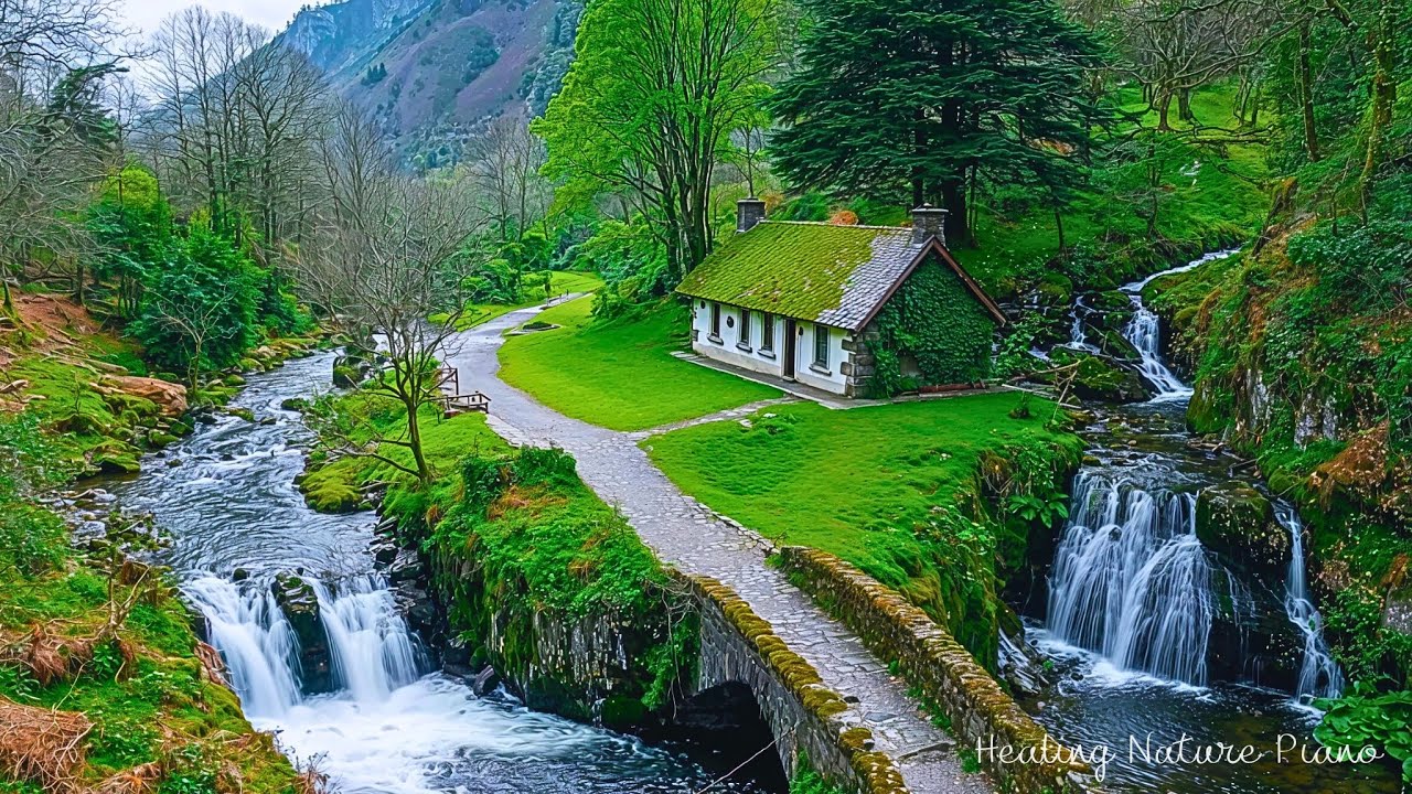 Красивая исцеляющая музыка🌿 Расслабляющая музыка для избавления от негативных мыслей