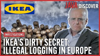 The Real Cost of Ikeas Cheap Wood: Secrets of the Wood Industry