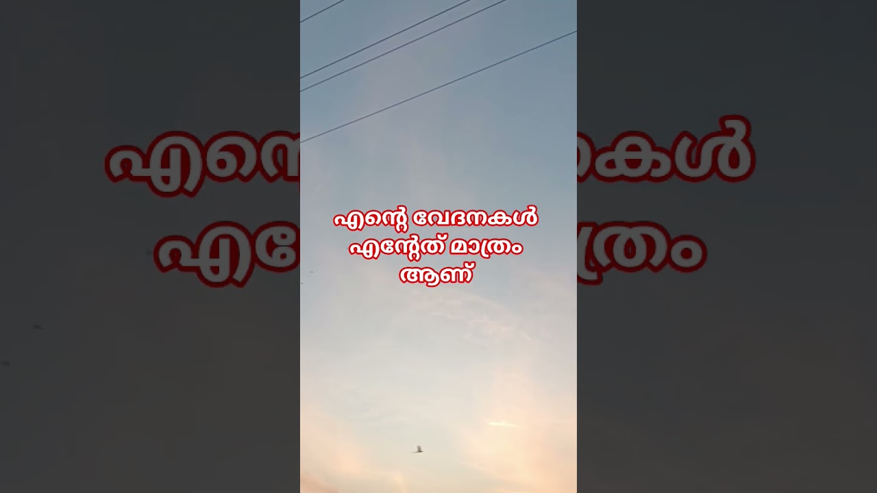 പറഞ്ഞു മനസിലാക്കുന്നതിനേക്കാൾ ... 