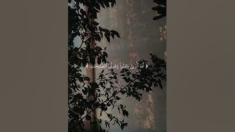 ما تيسر من سورة السجدة  أجر لي ولكم #أجر_لي_ولكم #عبدالرحمن_مسعد #اكسبلور #راحة_نفسية