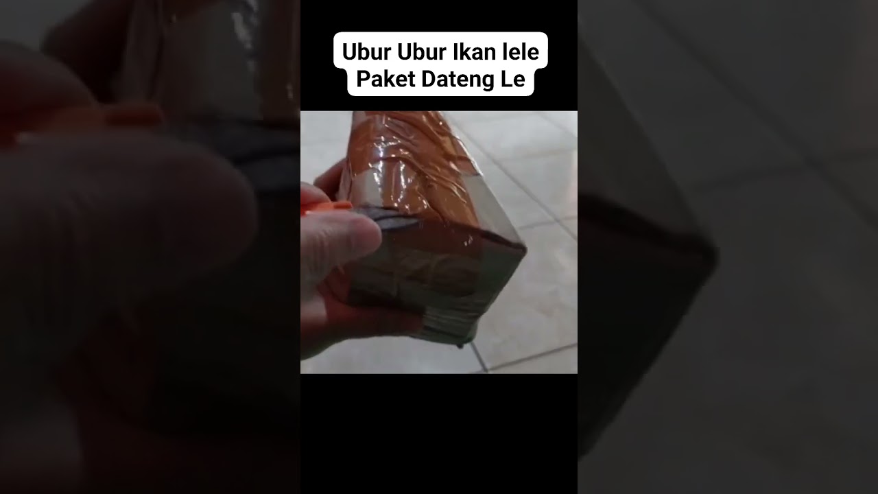 Ubur Ubur Ikan lele Paket datangLe