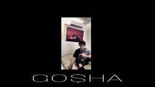 XL „GOSHA”