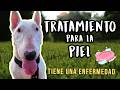 Mi perra “Luz de Luna” está enferma 🐾 así estamos hoy 💔❤ @aniita
