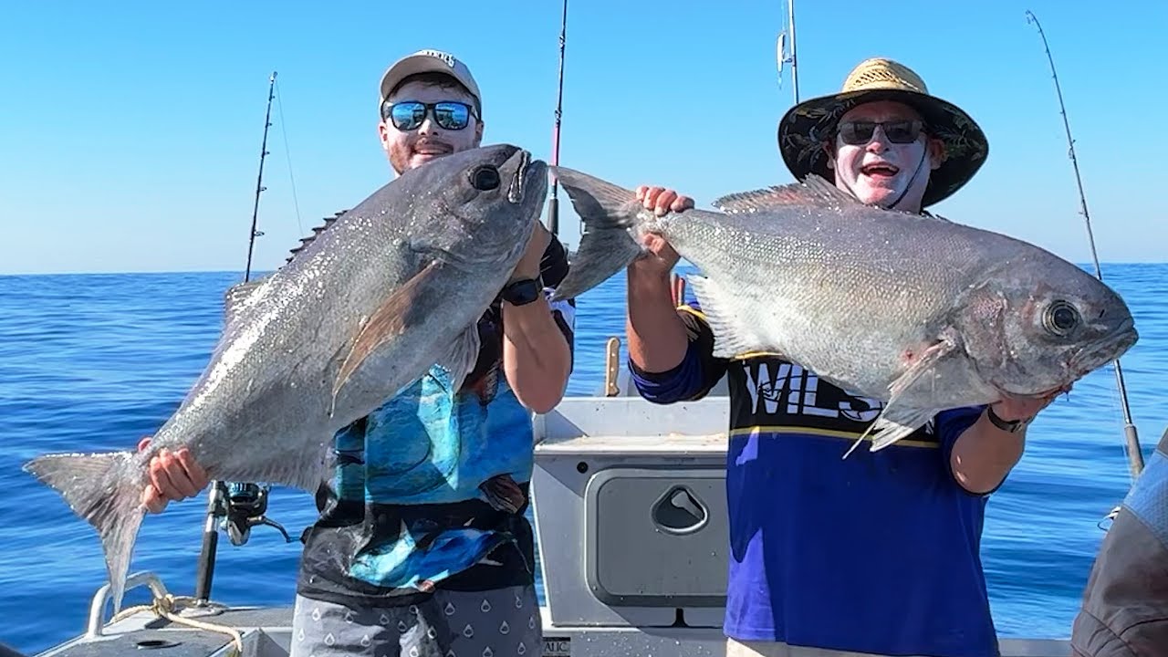 Deep Sea Fishing | Blue Eye Trevalla Catch & Clean