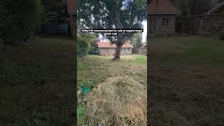 Commercial 100by100 plot for sale KSH 16M rongai town 400m from tarmac road. Tell 0725 283 809