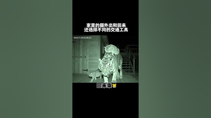 【牛奶是只猫】终于知道为啥每次做饭锅里都是猫毛了