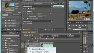 Работа с динамическими эффектами в Adobe Premiere CS4 (27/39) Работа с динамическими эффектами в Adobe Premiere CS4 (27/39)