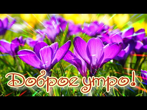 ☀️☕🌻С ДОБРЫМ УТРОМ! ХОРОШЕГО ДНЯ!🌻☕☀️