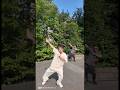 たけしさんと流行りダンス🕺一旦沖縄帰ります!!!今回出逢ってくれた関係者の皆様、ありがとうございました!!また今週末、東京で!!#Neil#ニイル#沖縄アクターズスクール