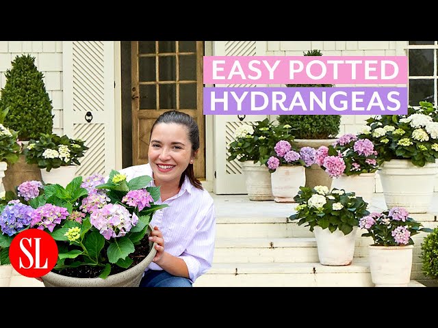 planter pot accessories Haxnicks Wall Plant Holder