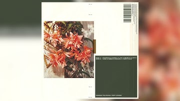 Polygonia, Popp - Honsu [Squama]