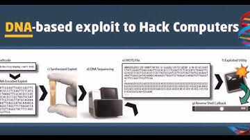 DNA used to Hack Computer