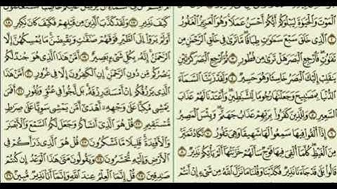 سورة  الملك./المنجية من عذاب القبر / بصوت المقرئ يونس اسويلص